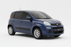 2015 Fiat Panda with Tinted Windows