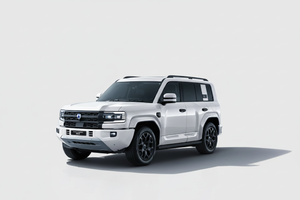 Denza B5 - Reference Style Tinted Windows