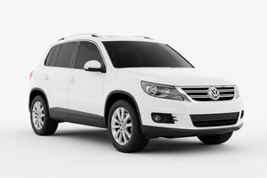 2009 Volkswagen Tiguan
