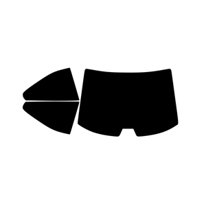 TINT-SHADE-PREVIEW-REAR