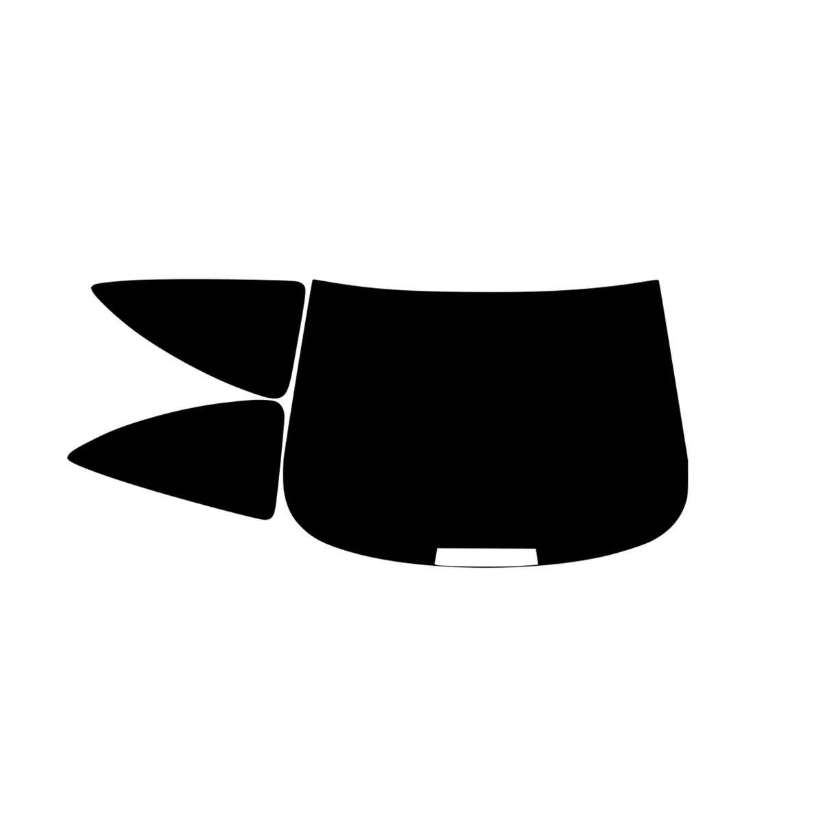 TINT-SHADE-PREVIEW-REAR